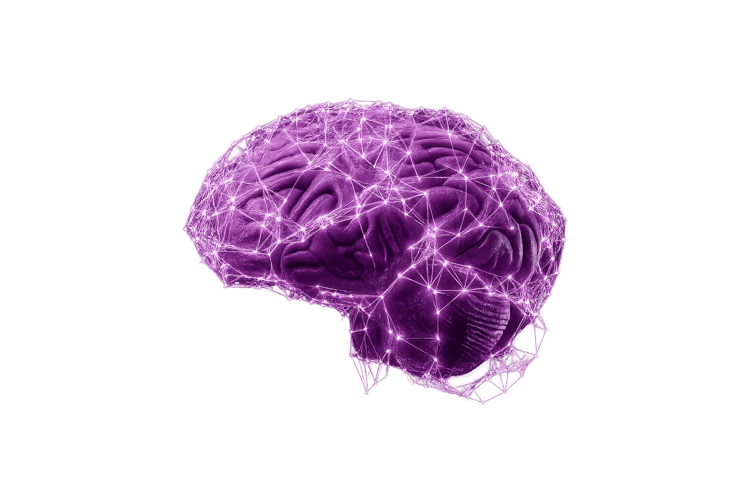Knowledge base